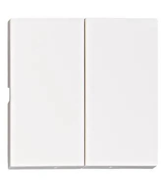 Wippe VISIO S 55 für Serien-, Doppelwechselschalter